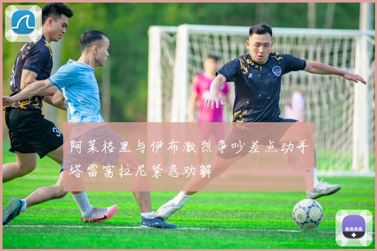 阿莱格里与伊布激烈争吵差点动手塔雷富拉尼紧急劝解